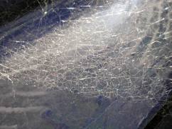 pókháló / spider web